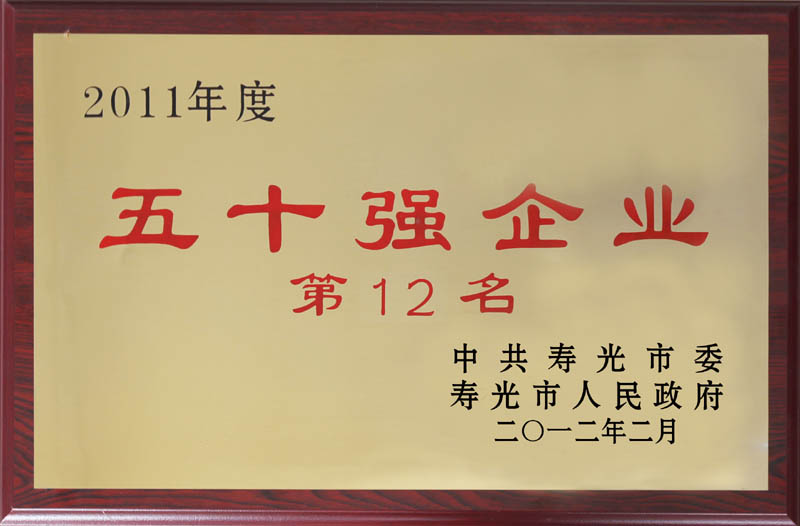 2011年度五十強(qiáng)企業(yè)第十二名獎(jiǎng)牌