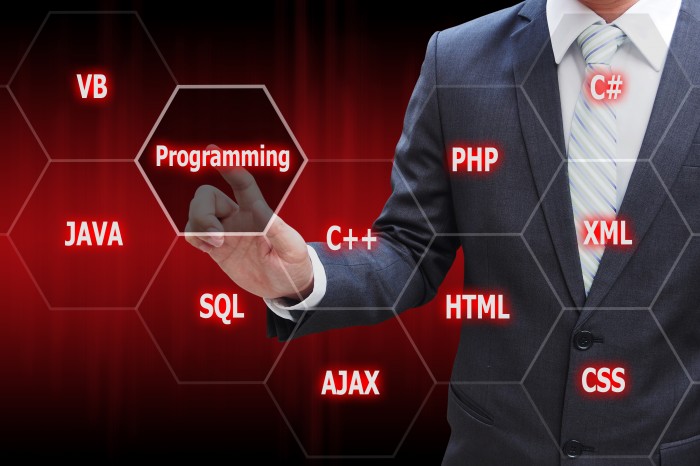The objectifs of Php programming
